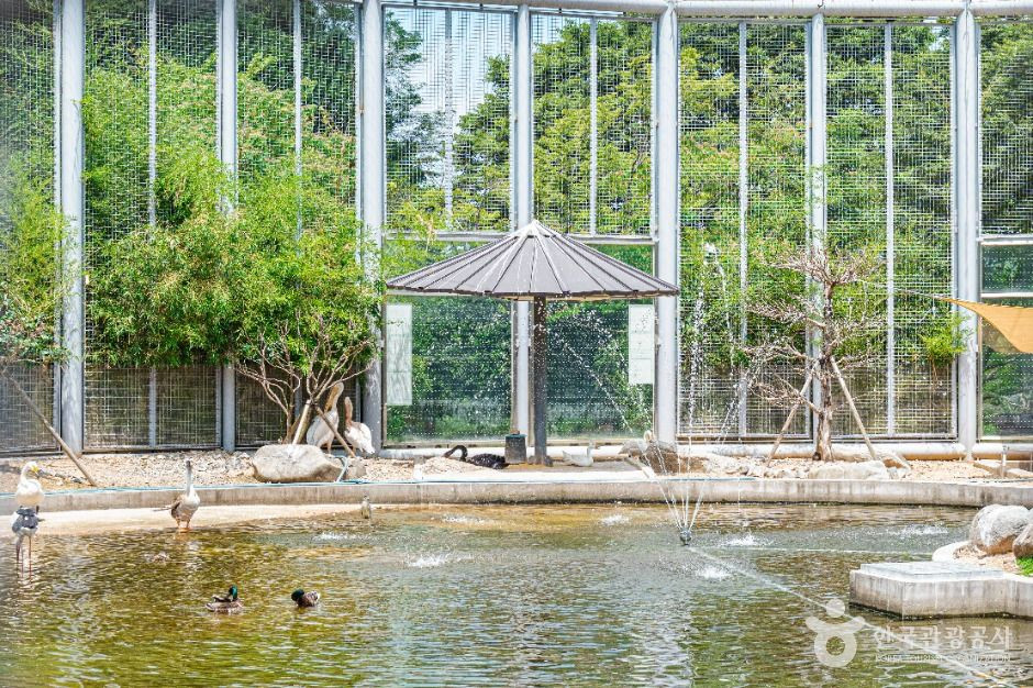 광주 우치공원 동물원 여행 추천 - 로드트립