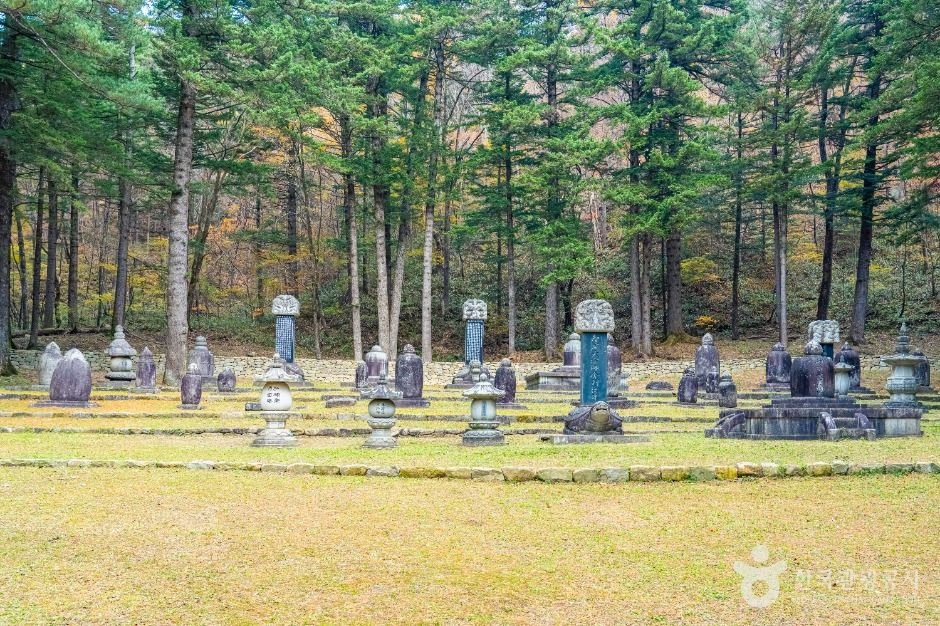 월정사 부도군 여행 추천 - 로드트립