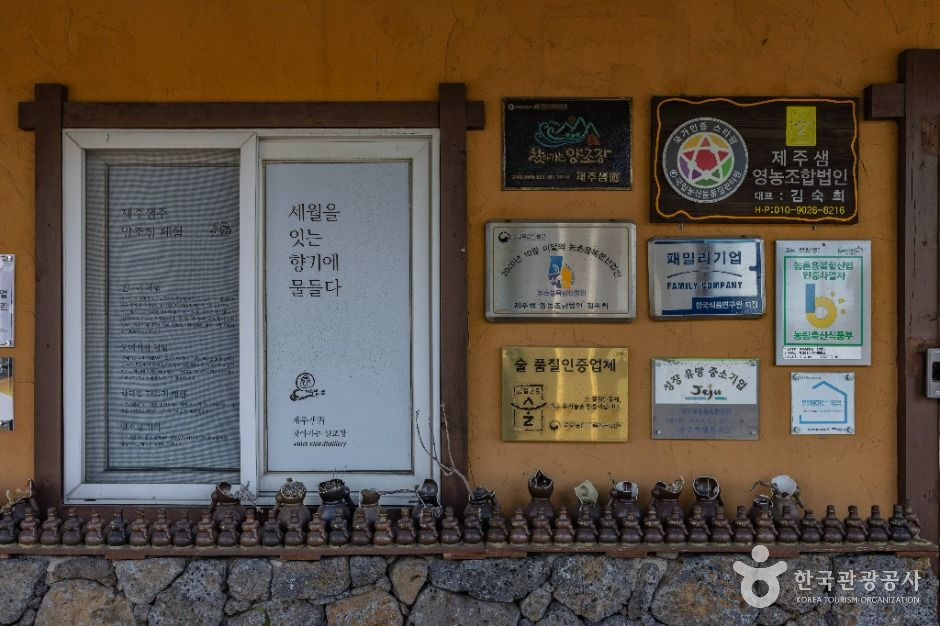 제주샘주 양조장 여행 추천 - 로드트립