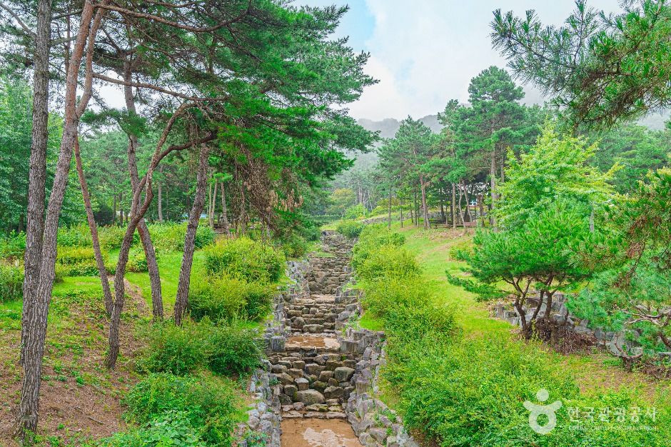 금성산생태숲 여행 추천 - 로드트립