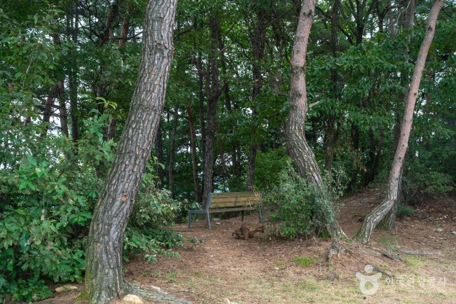 충주 장미산성 여행 추천 - 로드트립