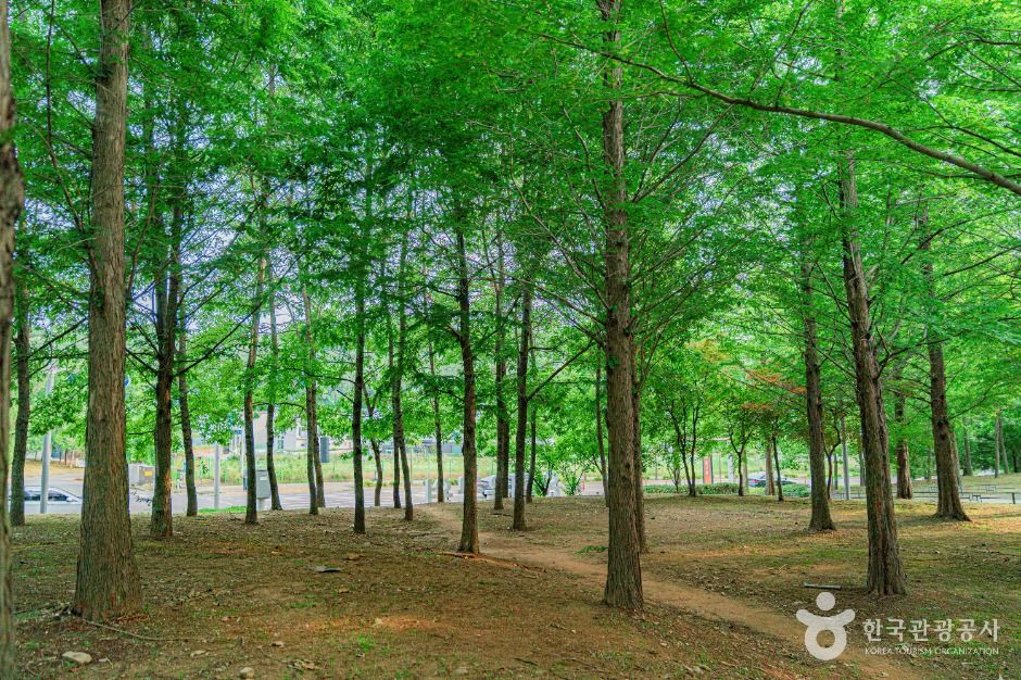 은여울공원 여행 추천 - 로드트립