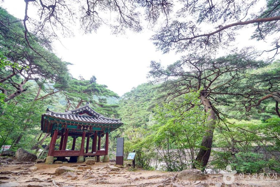 농산정 여행 추천 - 로드트립