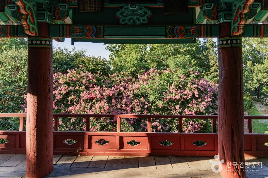 구성공원 여행 추천 - 로드트립