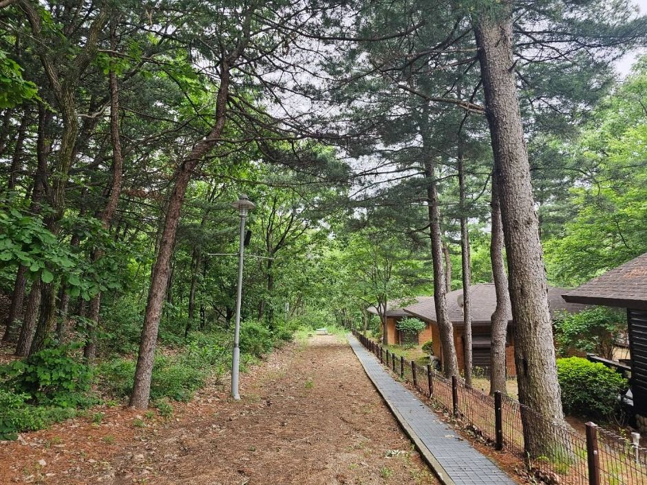 천보산 자연휴양림 여행 추천 - 로드트립