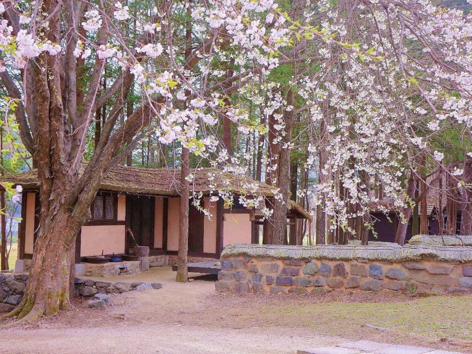 남이섬 여행 추천 - 로드트립