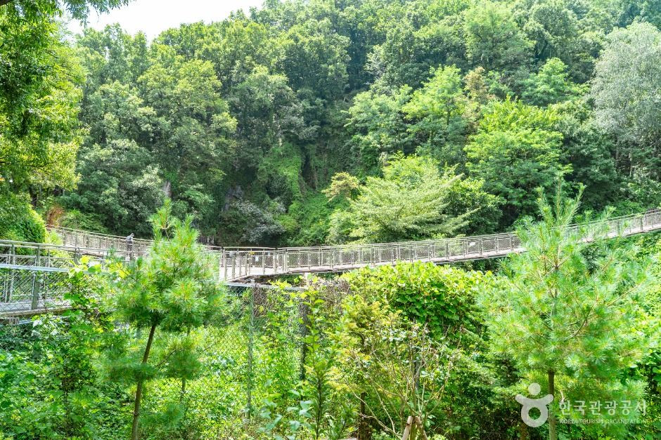 도덕산 출렁다리 여행 추천 - 로드트립