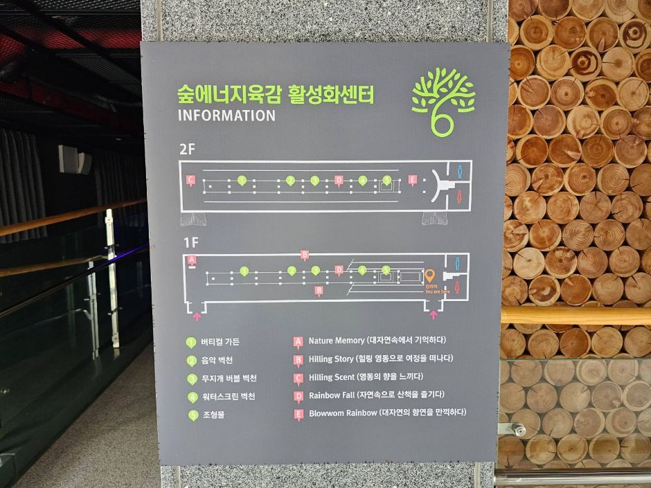 영동군 숲에너지육감 활성화센터 여행 추천 - 로드트립