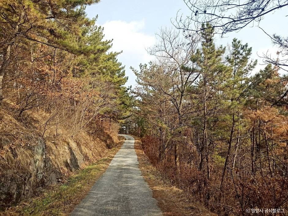 종남산(밀양) 여행 추천 - 로드트립