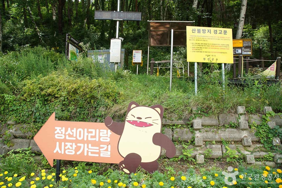 조양산(정선) 여행 추천 - 로드트립