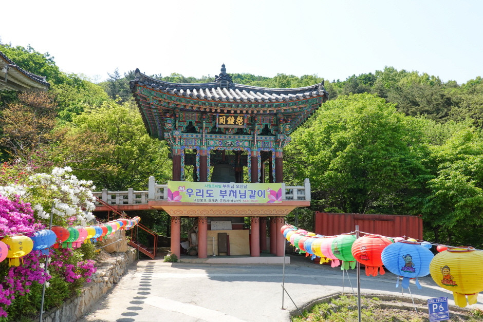 윤정사 여행 추천 - 로드트립