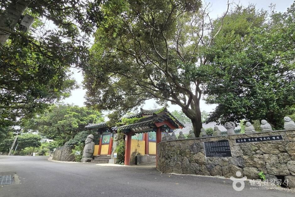 선광사(제주) 여행 추천 - 로드트립