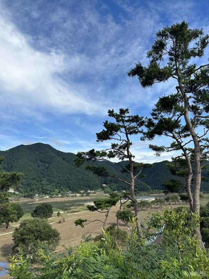 옥천금강수변 친수공원 여행 추천 - 로드트립