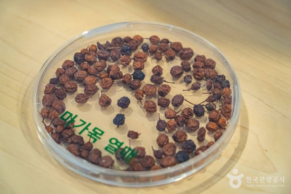 농업기술센터 여행 추천 - 로드트립