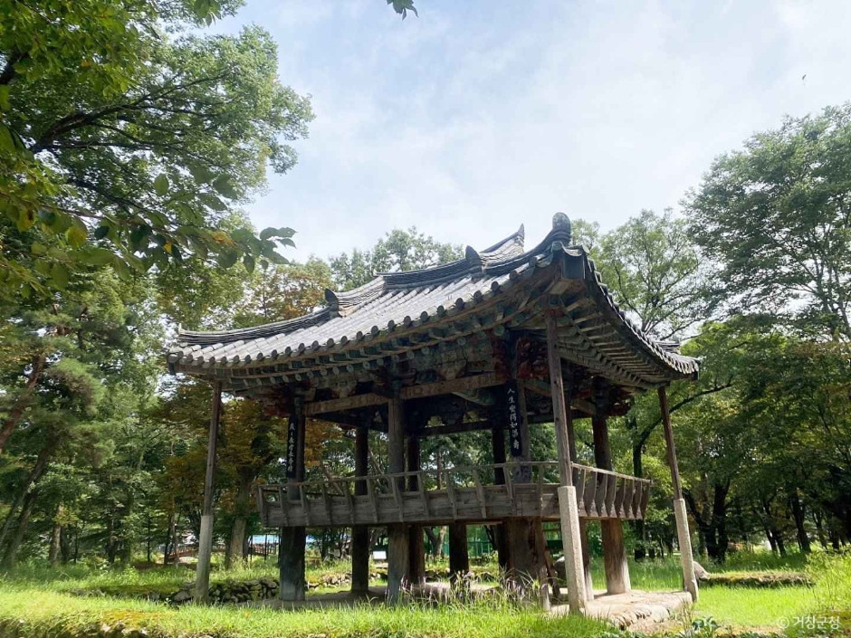 갈계숲 여행 추천 - 로드트립