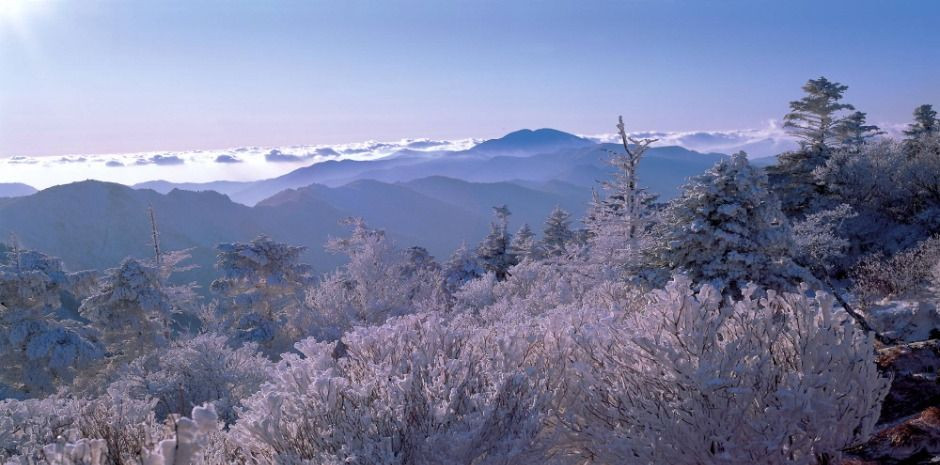 지리산국립공원(산청) 여행 추천 - 로드트립