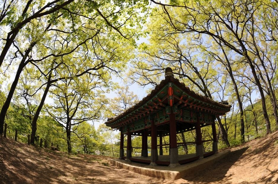 옥화9경 여행 추천 - 로드트립