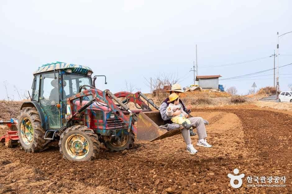 로렌츠감성치유시골체험 여행 추천 - 로드트립