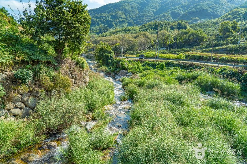 고운동계곡 여행 추천 - 로드트립