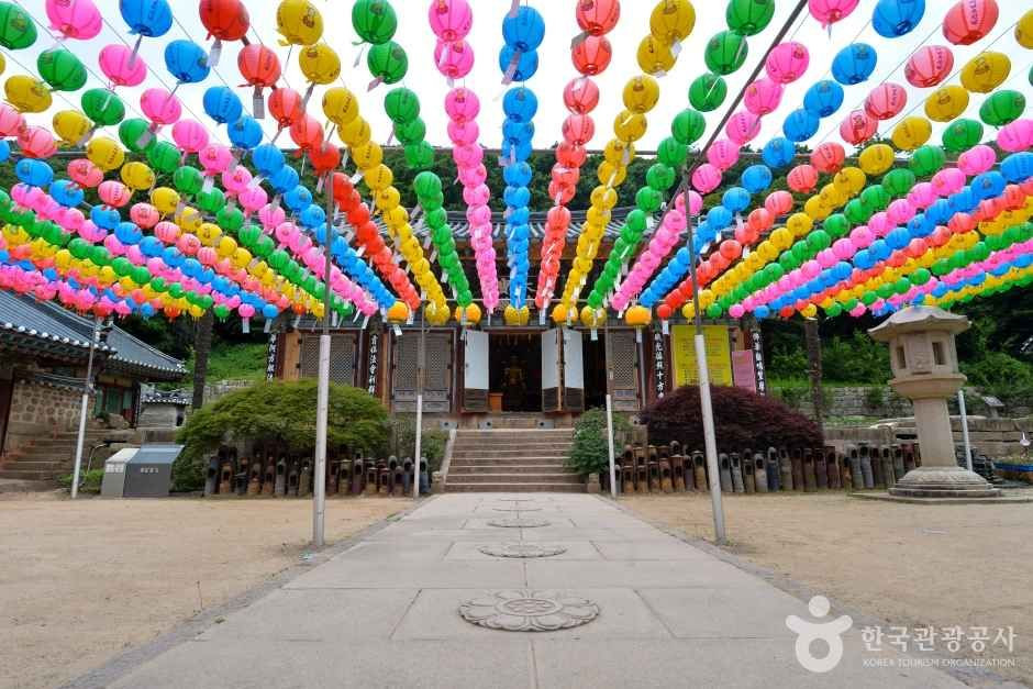 대흥사(해남) 여행 추천 - 로드트립