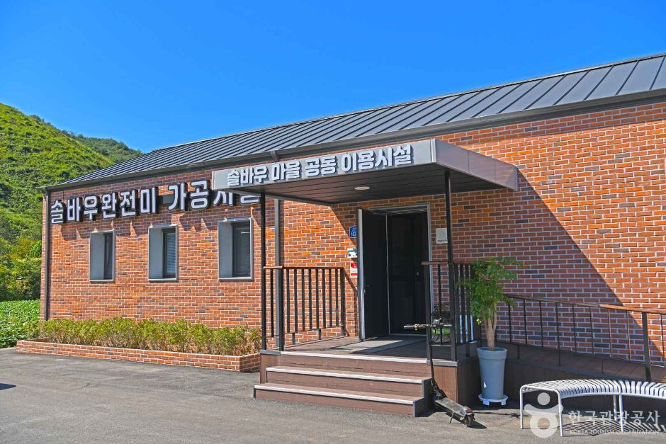 춘천 솔바우마을 여행 추천 - 로드트립