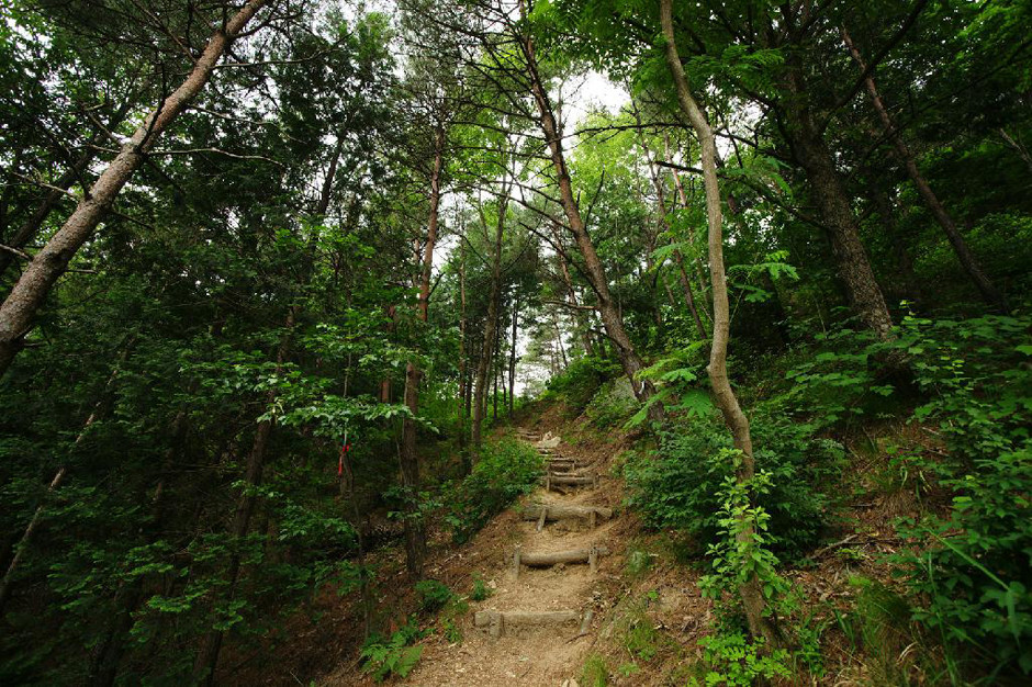 어천마을 여행 추천 - 로드트립