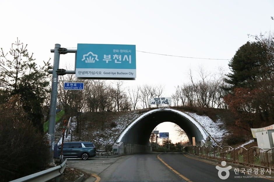 여우고개 여행 추천 - 로드트립