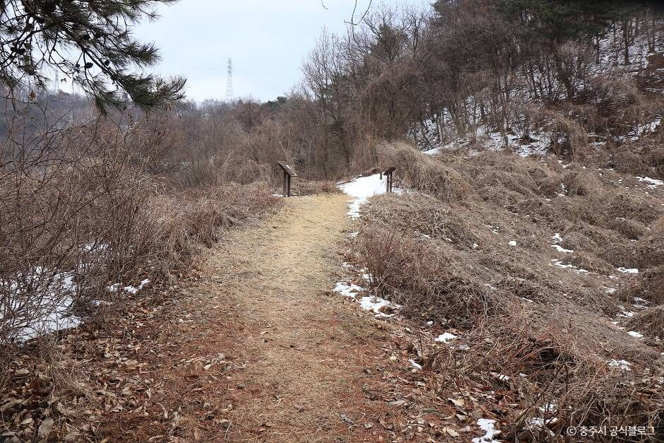 충주 대림산성 여행 추천 - 로드트립