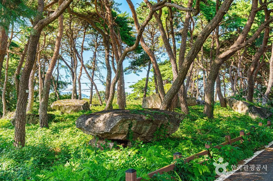 함평용월리지석묘군 여행 추천 - 로드트립