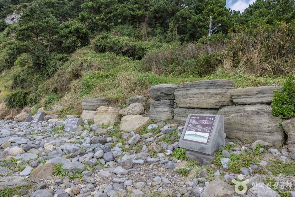서귀포 패류화석산지 여행 추천 - 로드트립