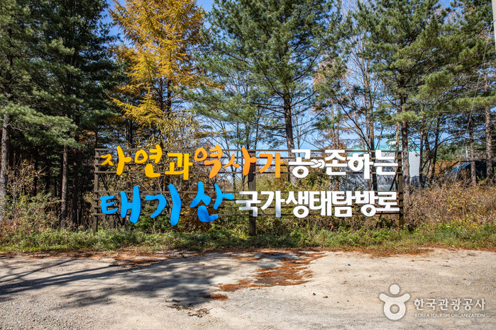 태기산 여행 추천 - 로드트립
