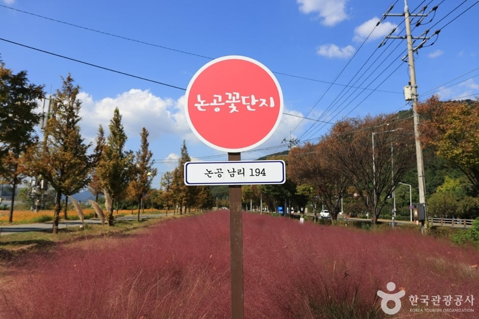 논공꽃단지 여행 추천 - 로드트립