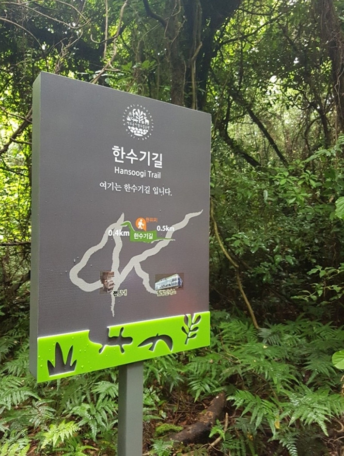 제주곶자왈도립공원 여행 추천 - 로드트립