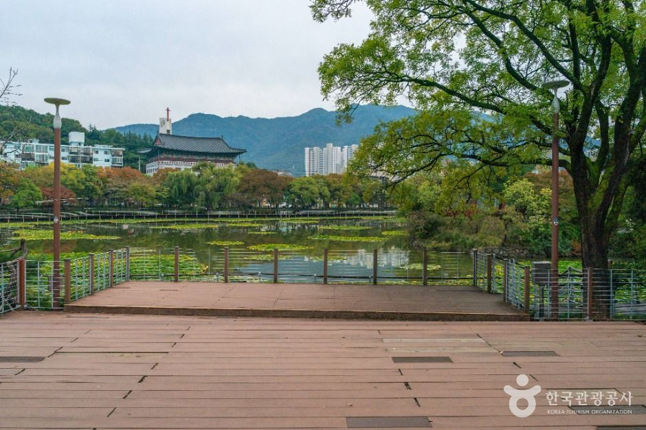 성당못 여행 추천 - 로드트립