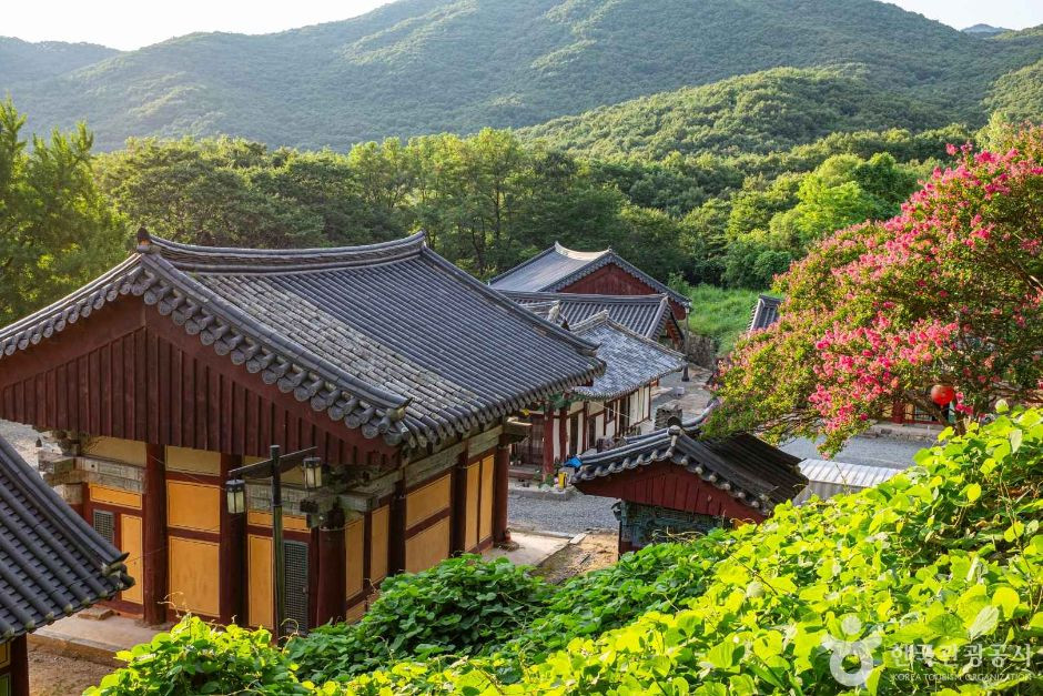 선석사(경북) 여행 추천 - 로드트립
