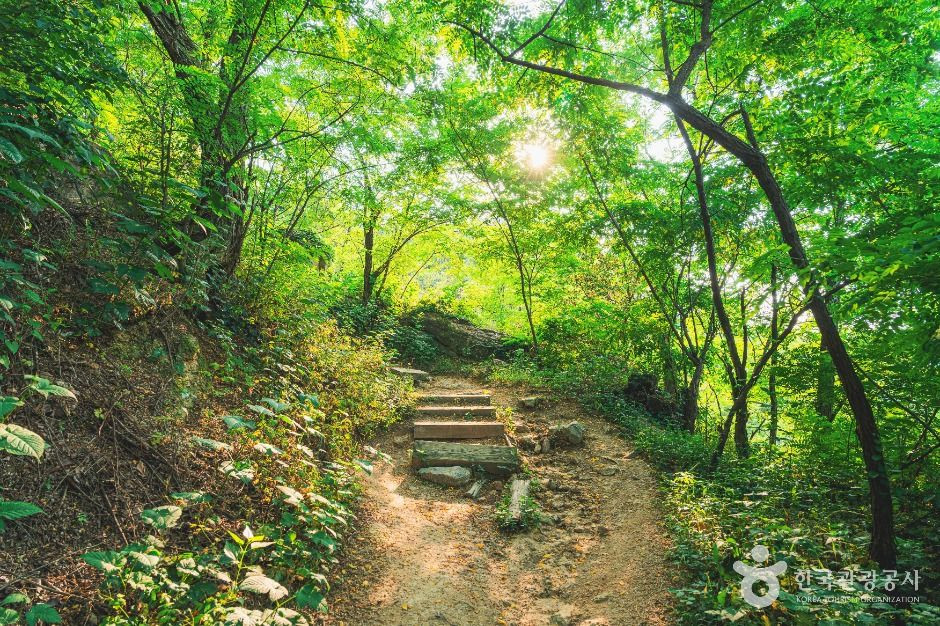 서대문 안산(안산자락길) 여행 추천 - 로드트립