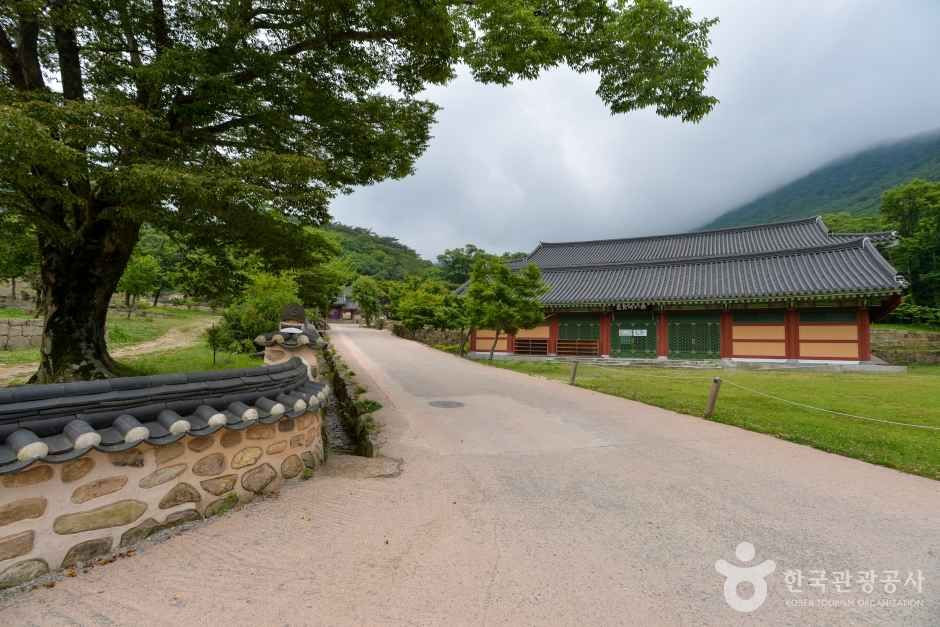 대흥사(해남) 여행 추천 - 로드트립