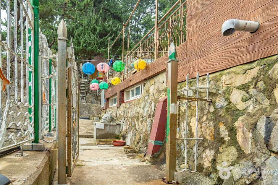 감추사 여행 추천 - 로드트립