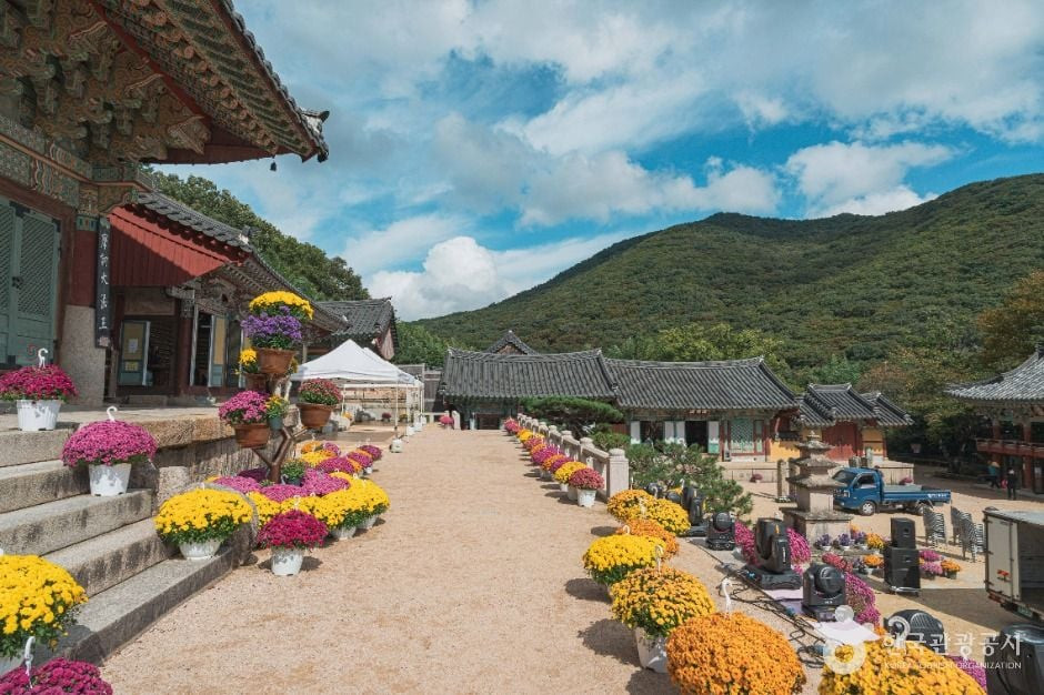 범어사(부산) 여행 추천 - 로드트립