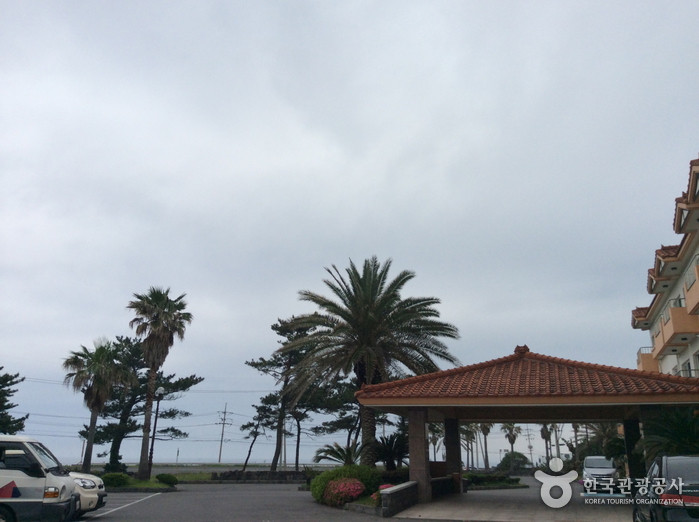 사조리조트 제주 여행 추천 - 로드트립