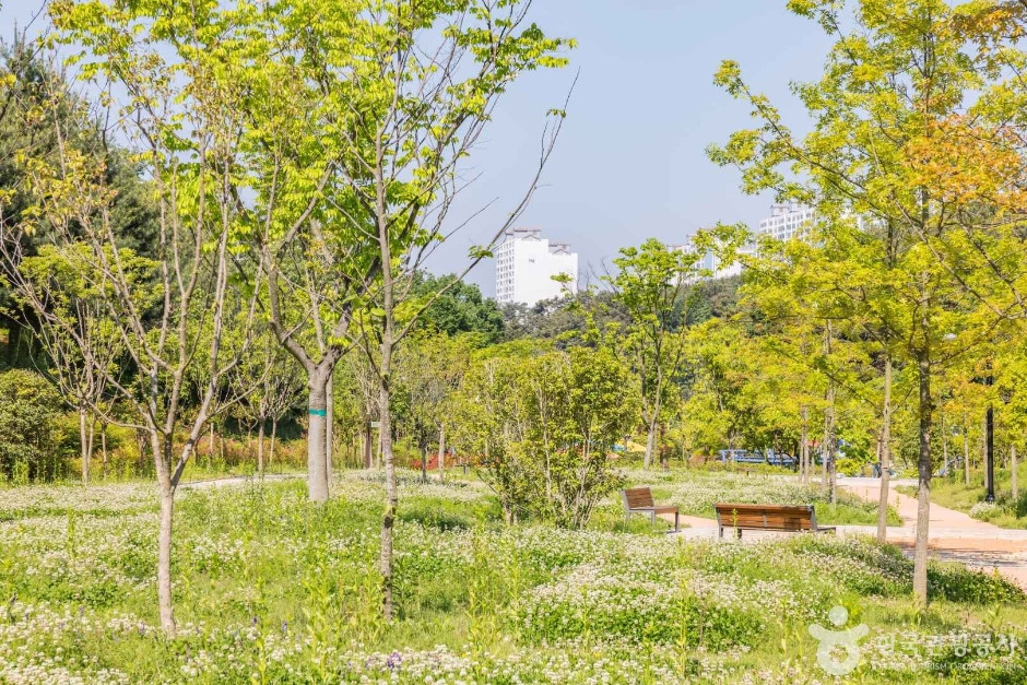 금호못유원지 여행 추천 - 로드트립