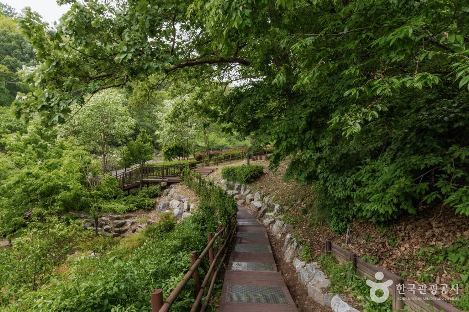 우면산자연생태공원 여행 추천 - 로드트립