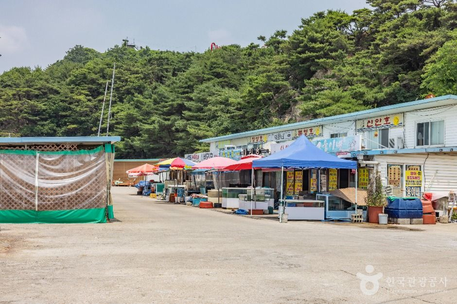 장구너머항 여행 추천 - 로드트립