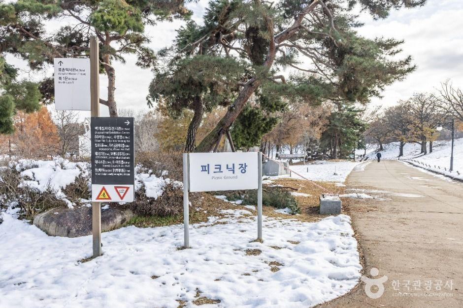 올림픽공원피크닉장 여행 추천 - 로드트립