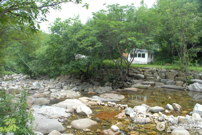 만산동계곡 여행 추천 - 로드트립