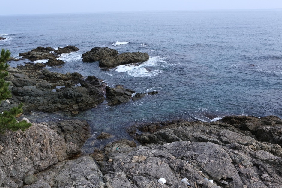 영덕 대부정합 (경북 동해안 국가지질공원) 여행 추천 - 로드트립