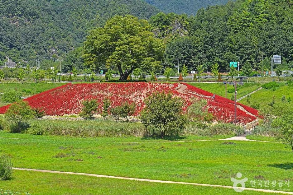 강변저류지 여행 추천 - 로드트립