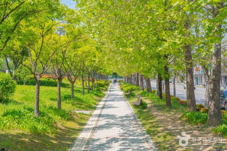 매탄공원 여행 추천 - 로드트립