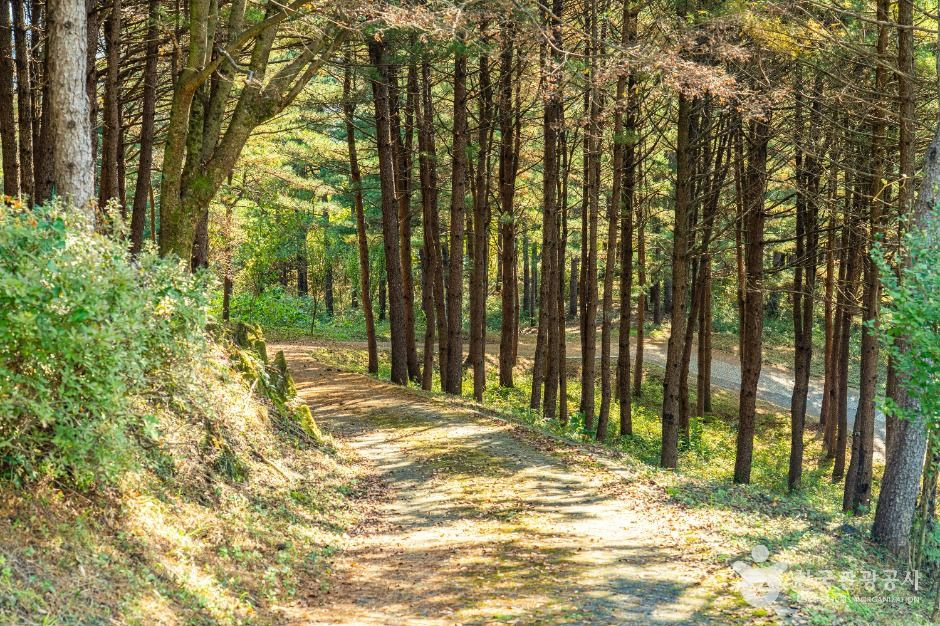 노산성 여행 추천 - 로드트립