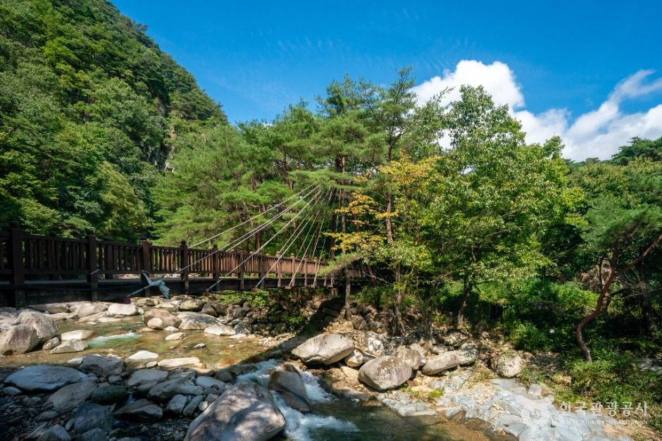홍류동계곡 여행 추천 - 로드트립